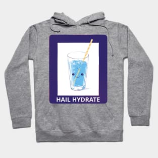 Hail Hydrate! Hoodie